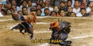 Xuân Phát Tài Lộc - Đá Gà Vui Xuân V7bet Tết Nguyên Đán Thịnh Vượng