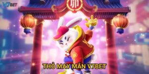Khám phá trò chơi thỏ may mắn V7bet với phần thưởng cực hấp dẫn