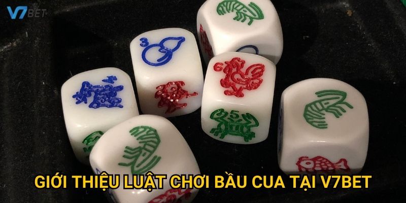Giới thiệu luật chơi bầu cua tại V7bet